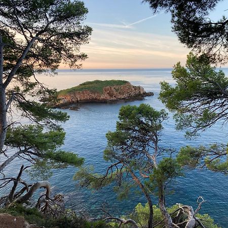 Hotel Plein Large Bandol Dış mekan fotoğraf